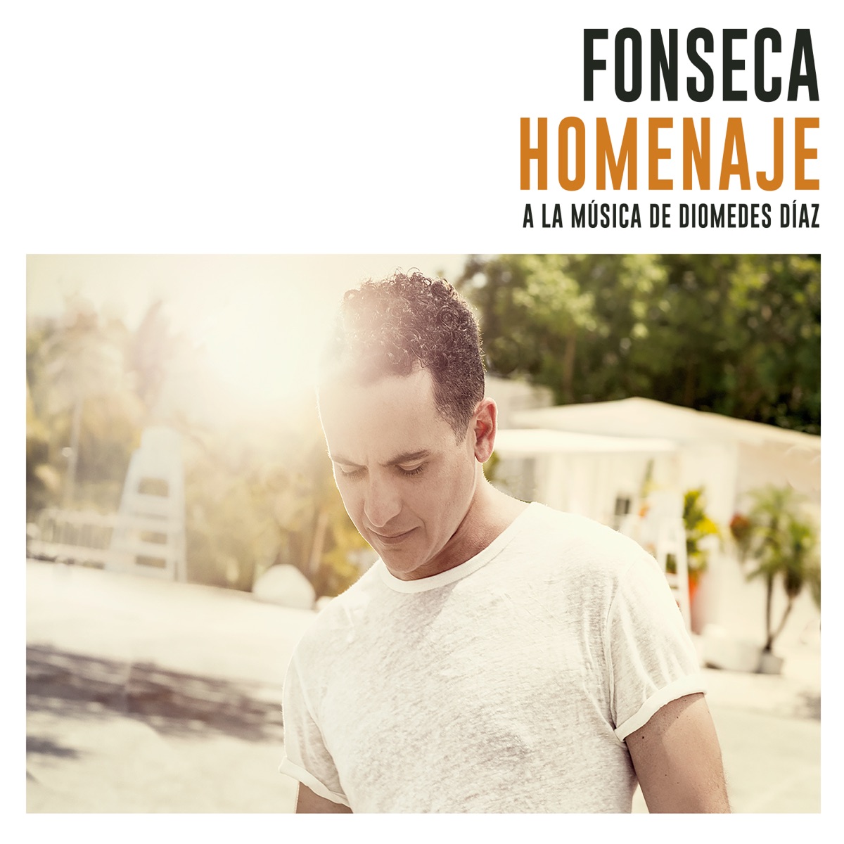 Homenaje (A la Música de Diomedes Díaz) by Fonseca album cover