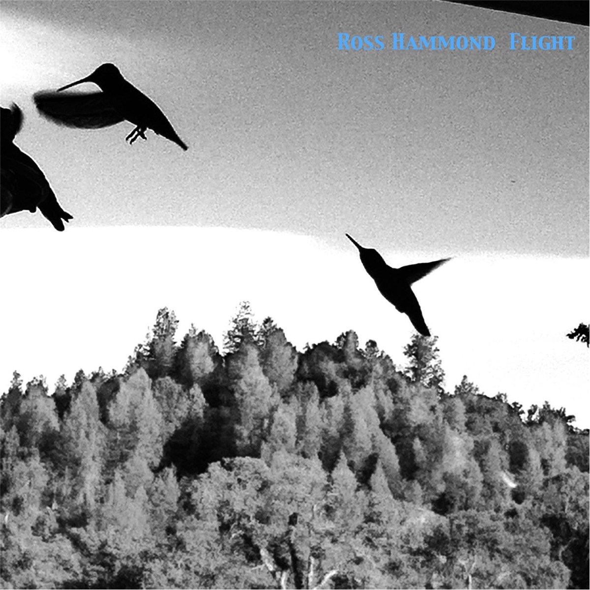 Flight by Ross Hammond album cover