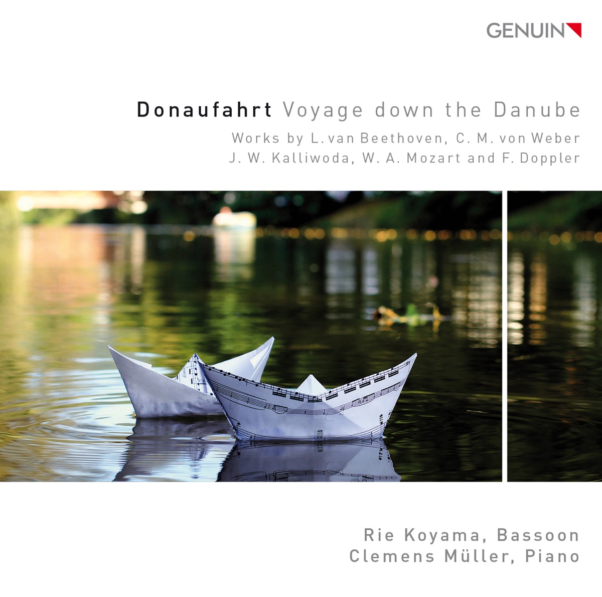 Donaufahrt by Rie Koyama & Clemens Muller album cover