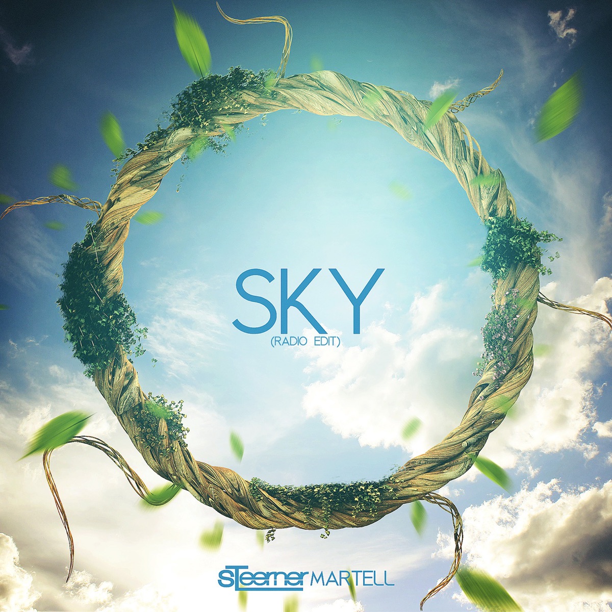 Sky (Radio Edit) - Single by Steerner album cover