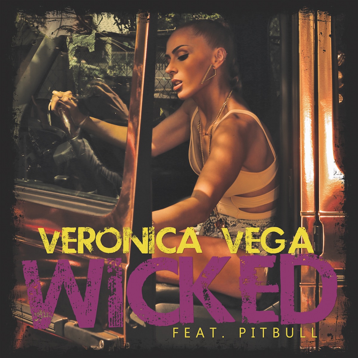 Wicked (The Remixes) [feat. Pitbull] by Veronica Vega album cover