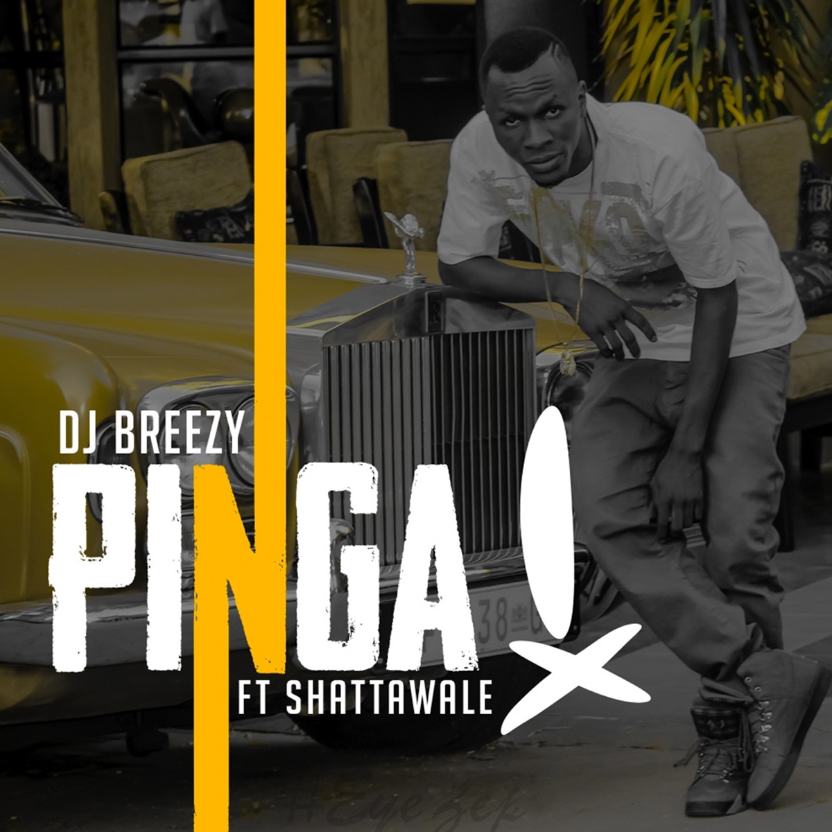 Pinga (feat. Shatta Wale) - Single by DJ Breezy album cover
