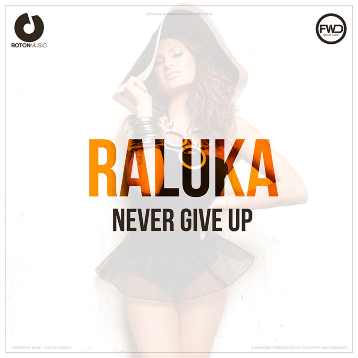 Never Give Up - Single by Raluka album cover