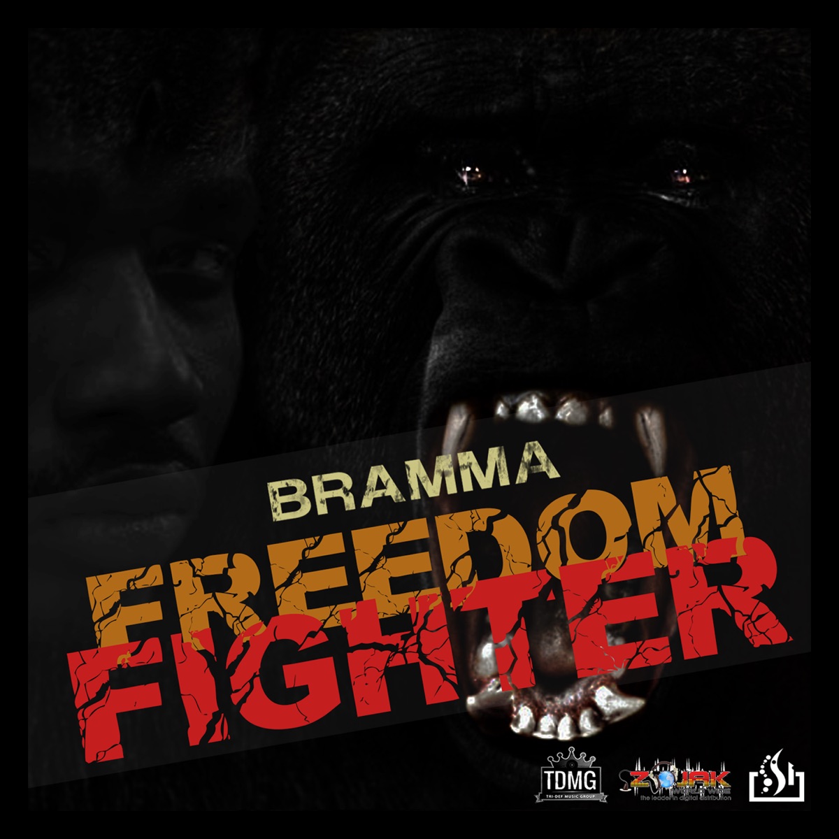 Freedom Fighter - Single by Bramma album cover