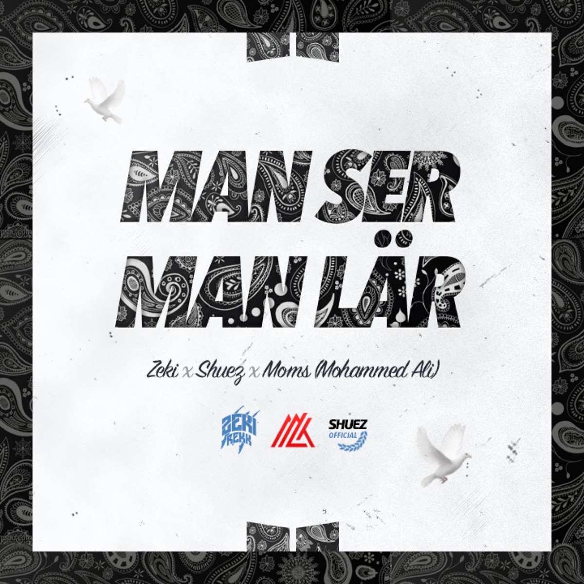 Man ser, man lär (feat. Shuez & Moms) - Single by ZEKI album cover