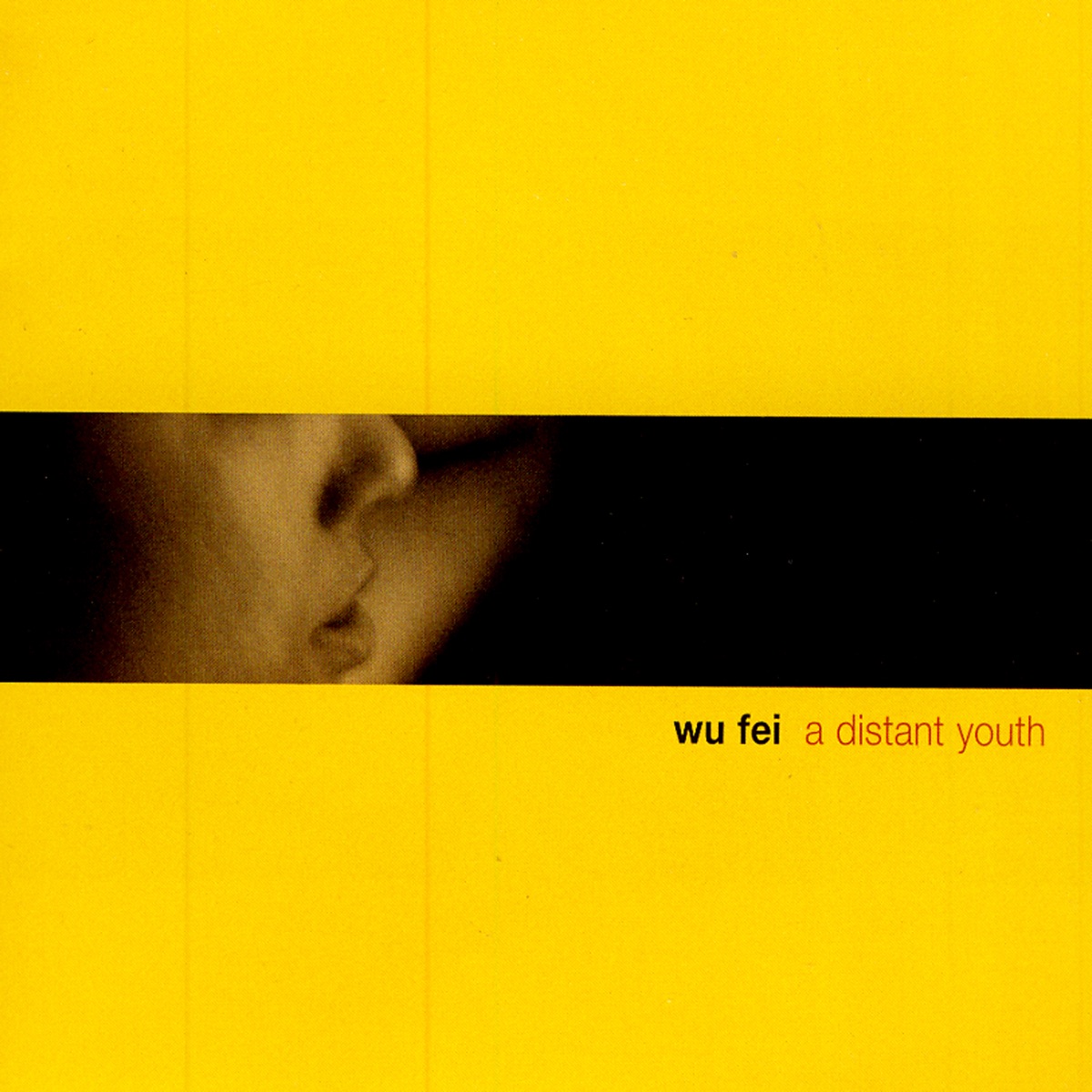A Distant Youth by Wu Fei album cover