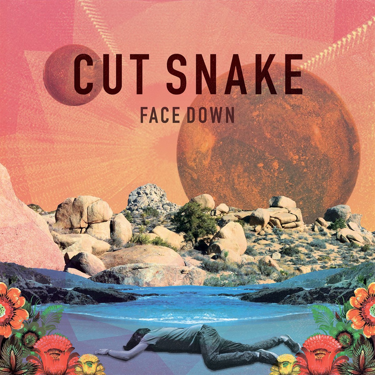 Face Down - Single by Cut Snake album cover