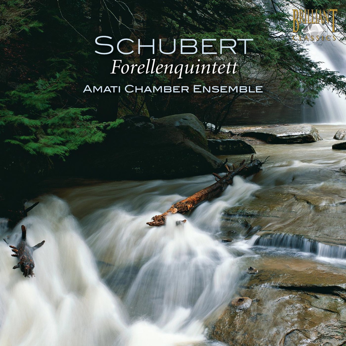 Schubert: Forellenquintett, D. 667 by Amati Chamber Ensemble & Sharon Quartet album cover