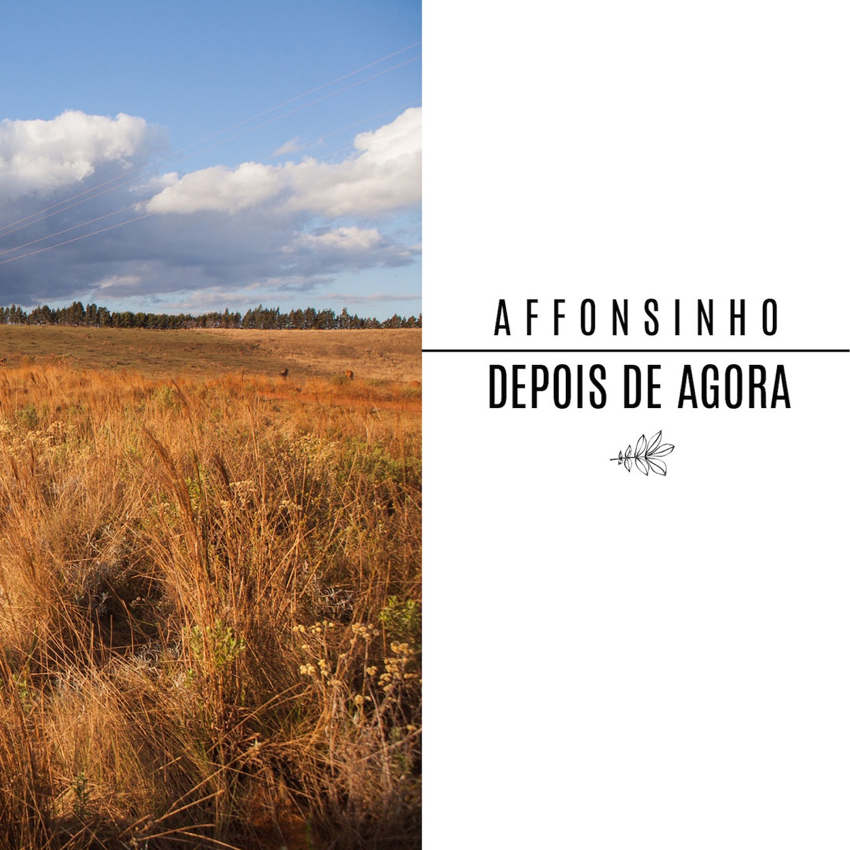 Depois de Agora by Affonsinho album cover
