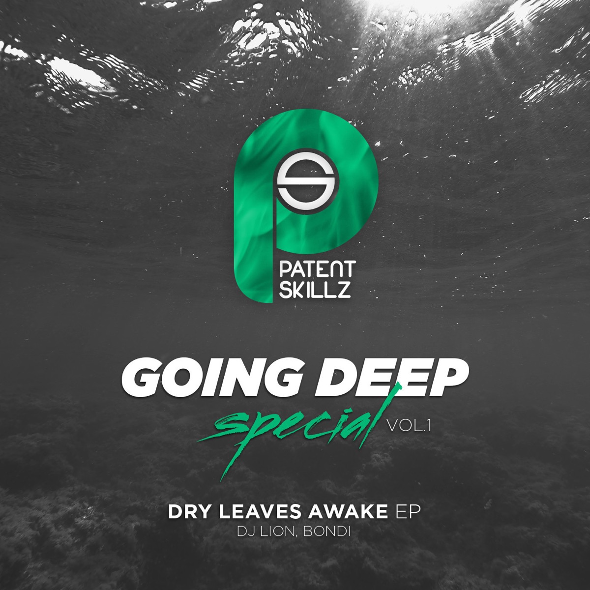 Going Deep Special 1 by DJ Lion & Bondi album cover