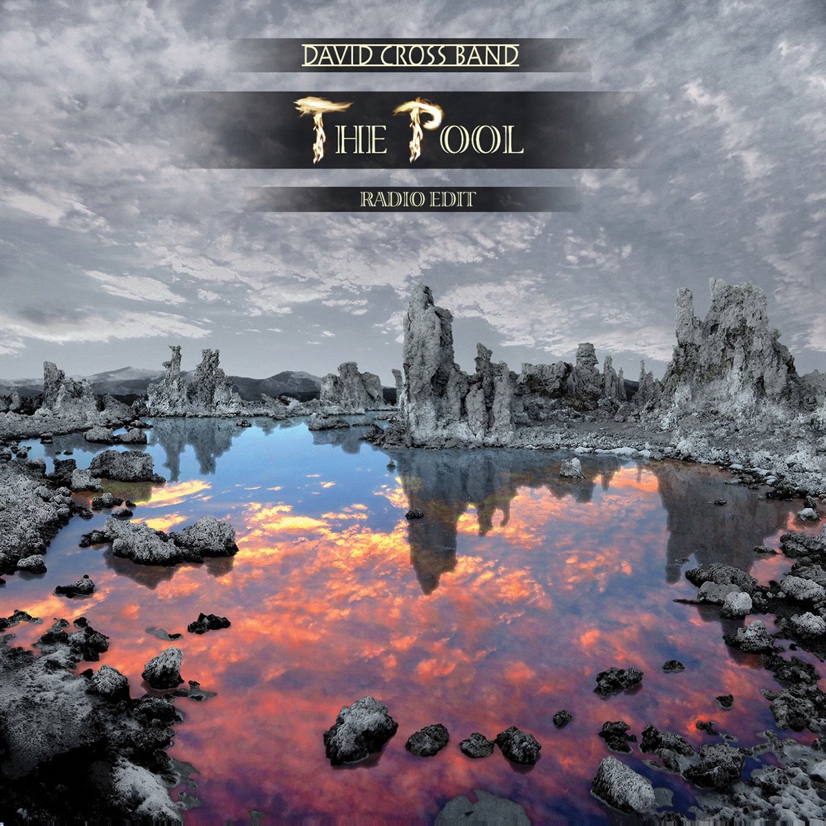 The Pool (Radio Edit) - Single by David Cross Band album cover