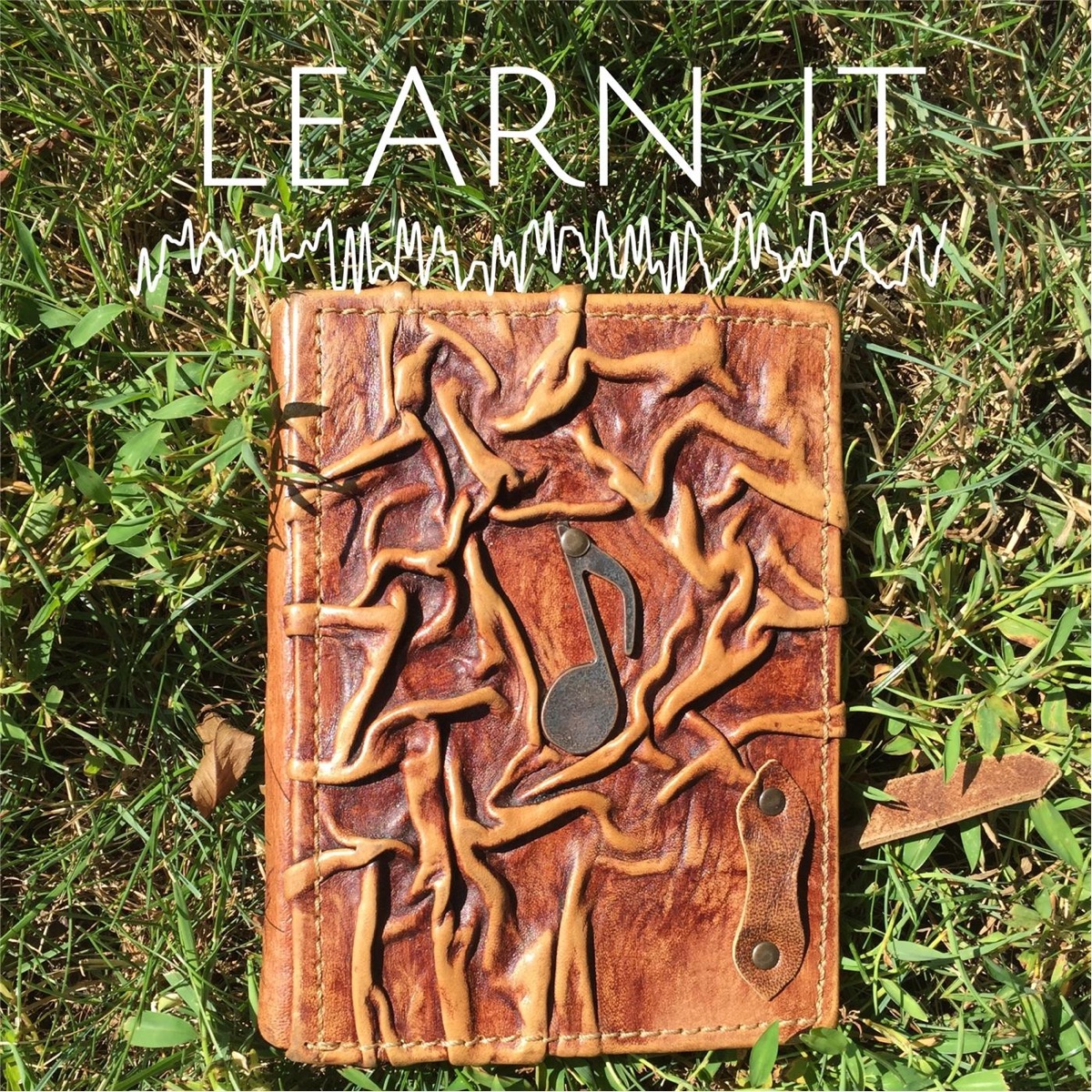 Learn It - Single by Captain album cover
