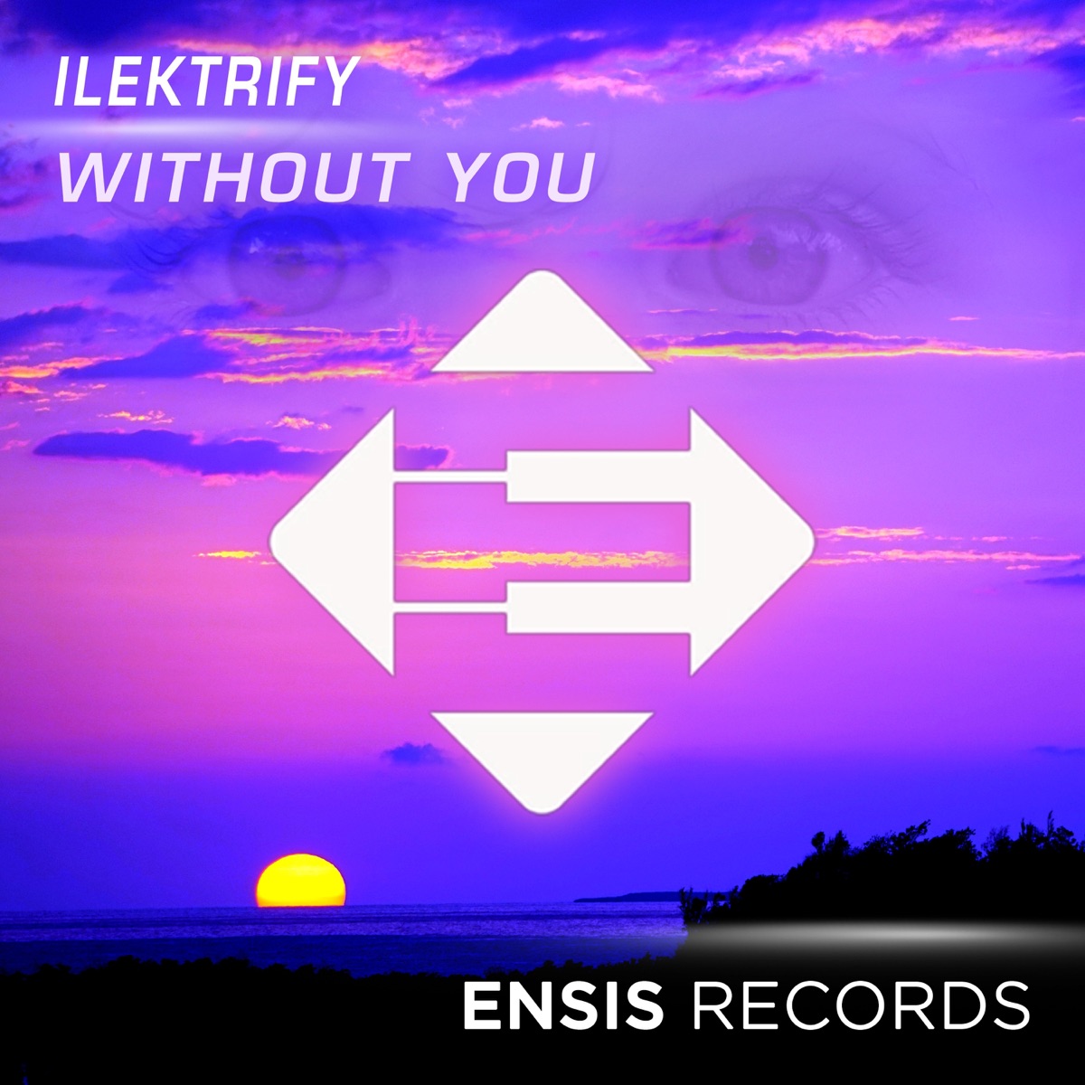 Without You - Single by Ilektrify album cover