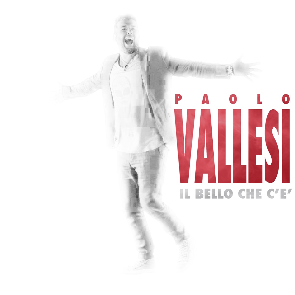 Il bello che c'è - Single by Paolo Vallesi album cover