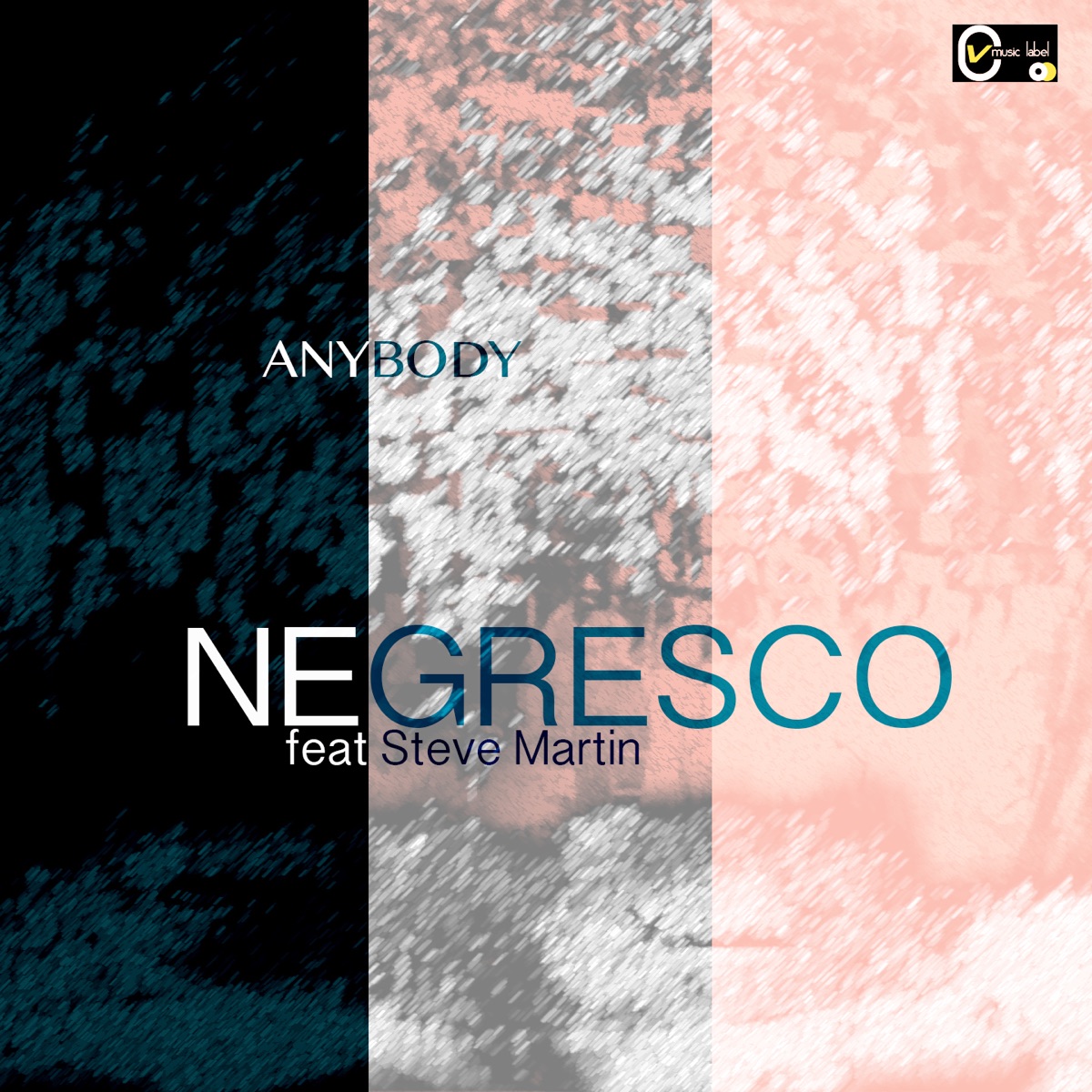 Anybody (feat. Steve Martin) - Single by Negresco album cover