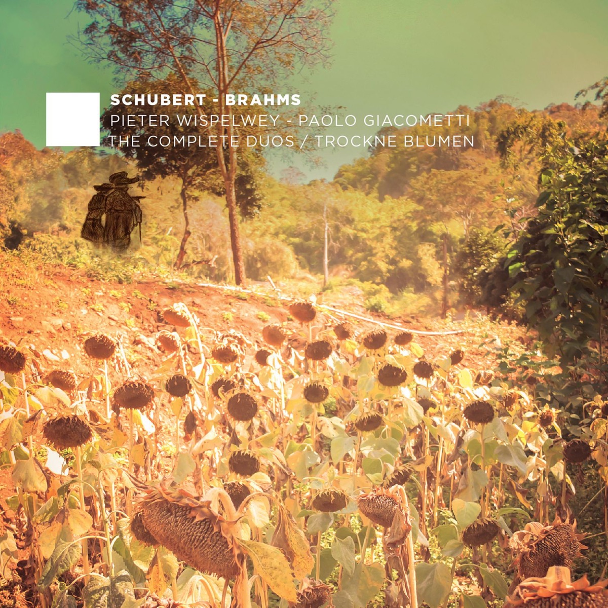 F. Schubert, J. Brahms: The Complete Duos, Vol. 2 by Pieter Wispelwey & Paolo Giacometti album cover