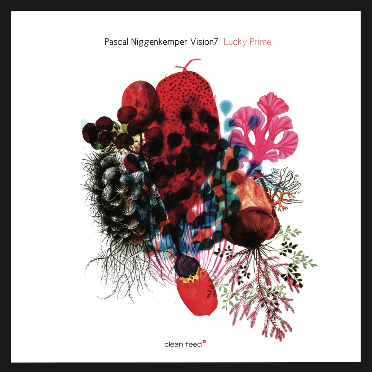 Lucky Prime (feat. Frank Gratkowski, Emilie Lesbros, Eve Risser, Frantz Loriot, Els Vandeweyer & Christian Lillinger) by Pascal Niggenkemper Vision7 album cover