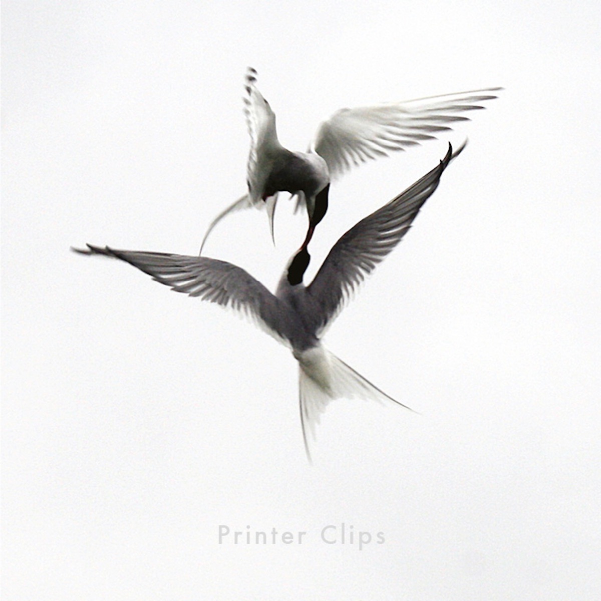 Printer Clips (feat. Paul Noonan, Lisa Hannigan, Martha Wainwright, Joan As Policewoman, Gemma Hayes, Cathy Davey, Maria Doyle Kennedy, Danielle Harrison, Julia Stone & Caoimhin O'Raghallaigh) by Printer Clips album cover