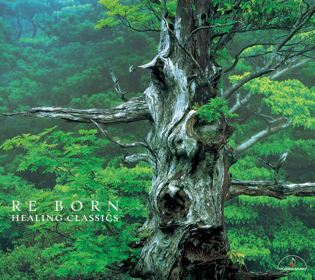 Re Born by Koji Ezaki, Ryoichi Fujimori, La Fontaine, Karl-Andreas Kolly, Akiko Kusano, Tokyo Vivaldi Ensemble, Koji Morishita, Atsushi Ishi, Hiroshi Matsuzaki, La Quartina & Shin-Ichiro Nakano album cover