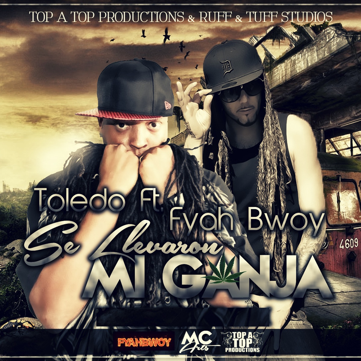 Se Llevaron Mi Ganja (feat. Fyahbwoy) - Single by Toledo album cover