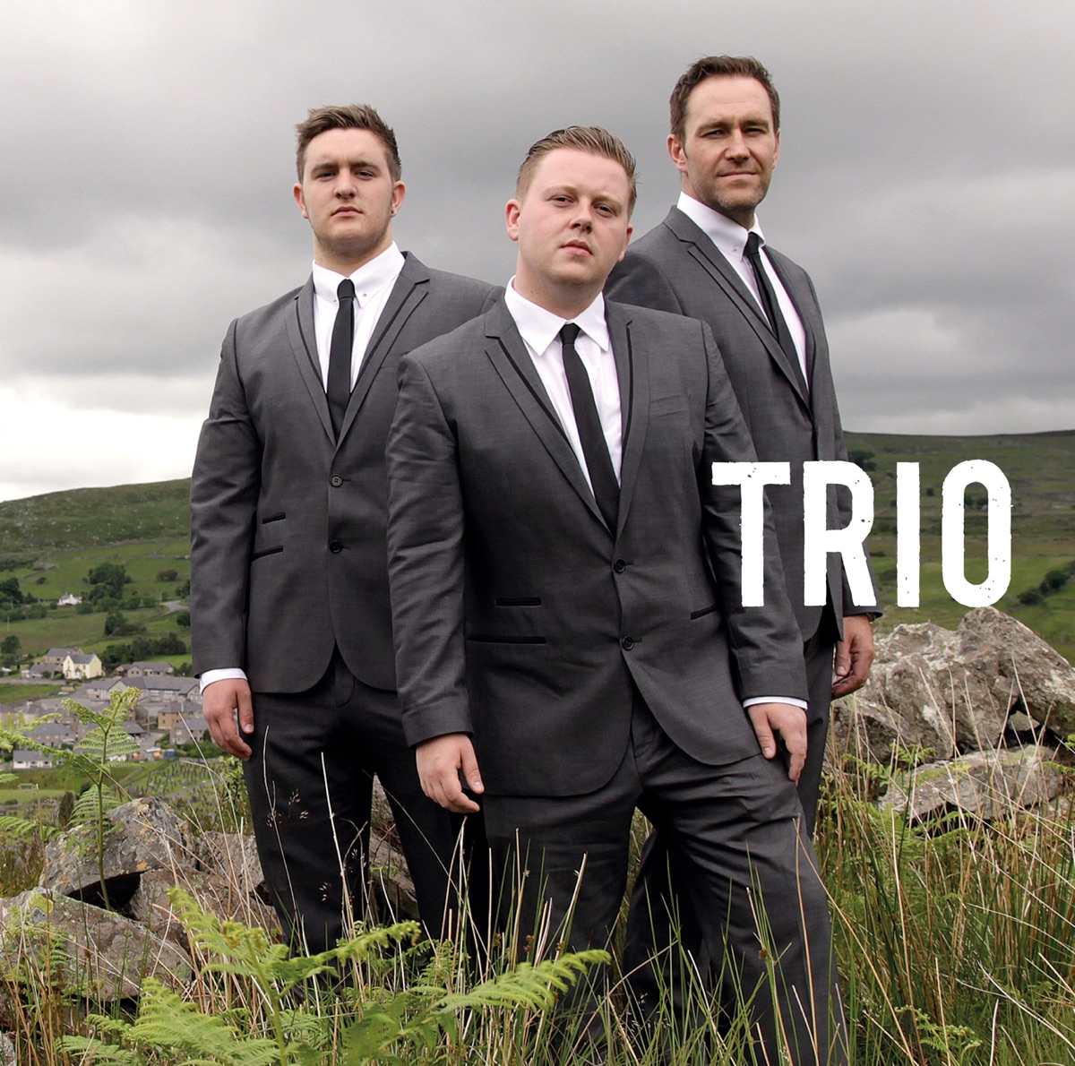 Trio by Trio & Annette Bryn Parri album cover