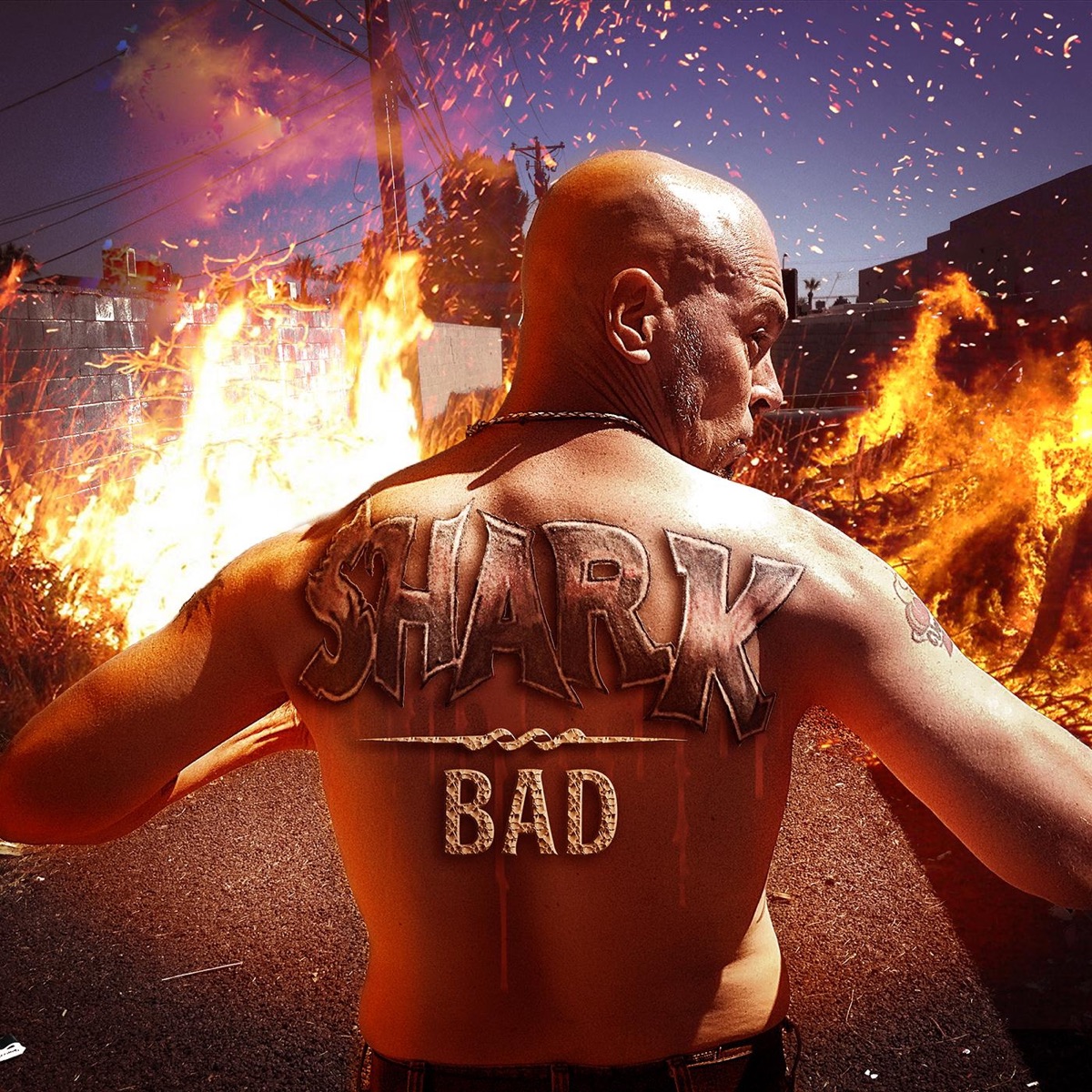 Bad - Single by Shark album cover
