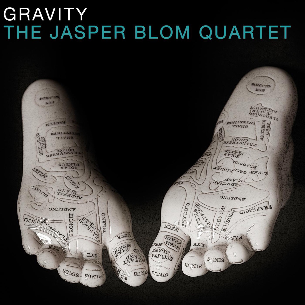 Gravity by Jasper Blom Quartet album cover