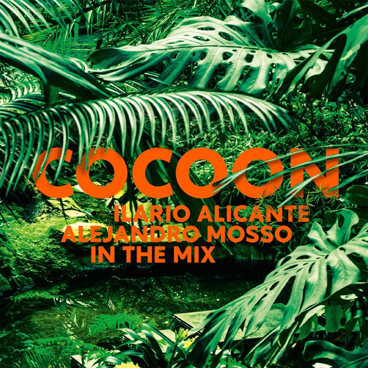 COCOON IBIZA (Mixed By Ilario Alicante & Alejandro Mosso) by Ilario Alicante & Alejandro Mosso album cover