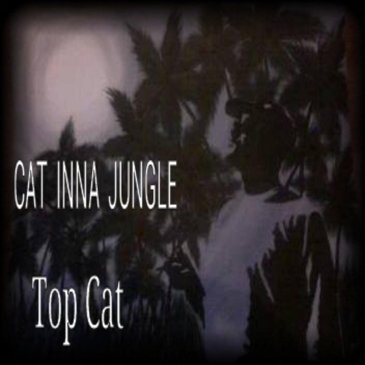 Cat Inna Jungle by Top Cat album cover