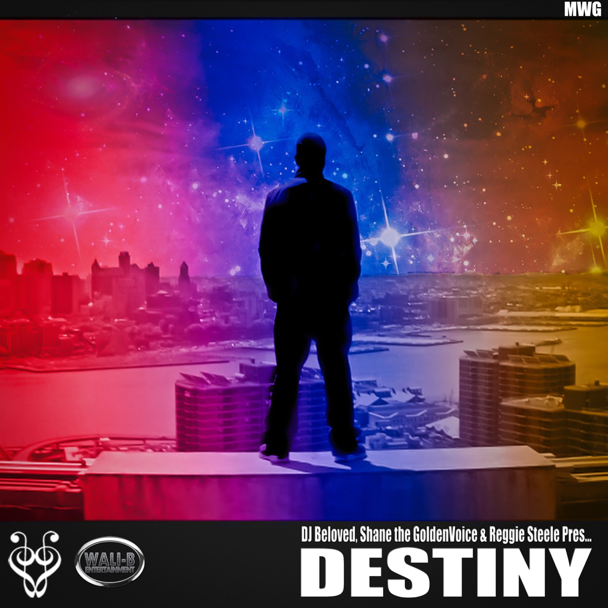 Destiny - Single by Dj Beloved, Shane The Golden Voice & Reggie Steele album cover