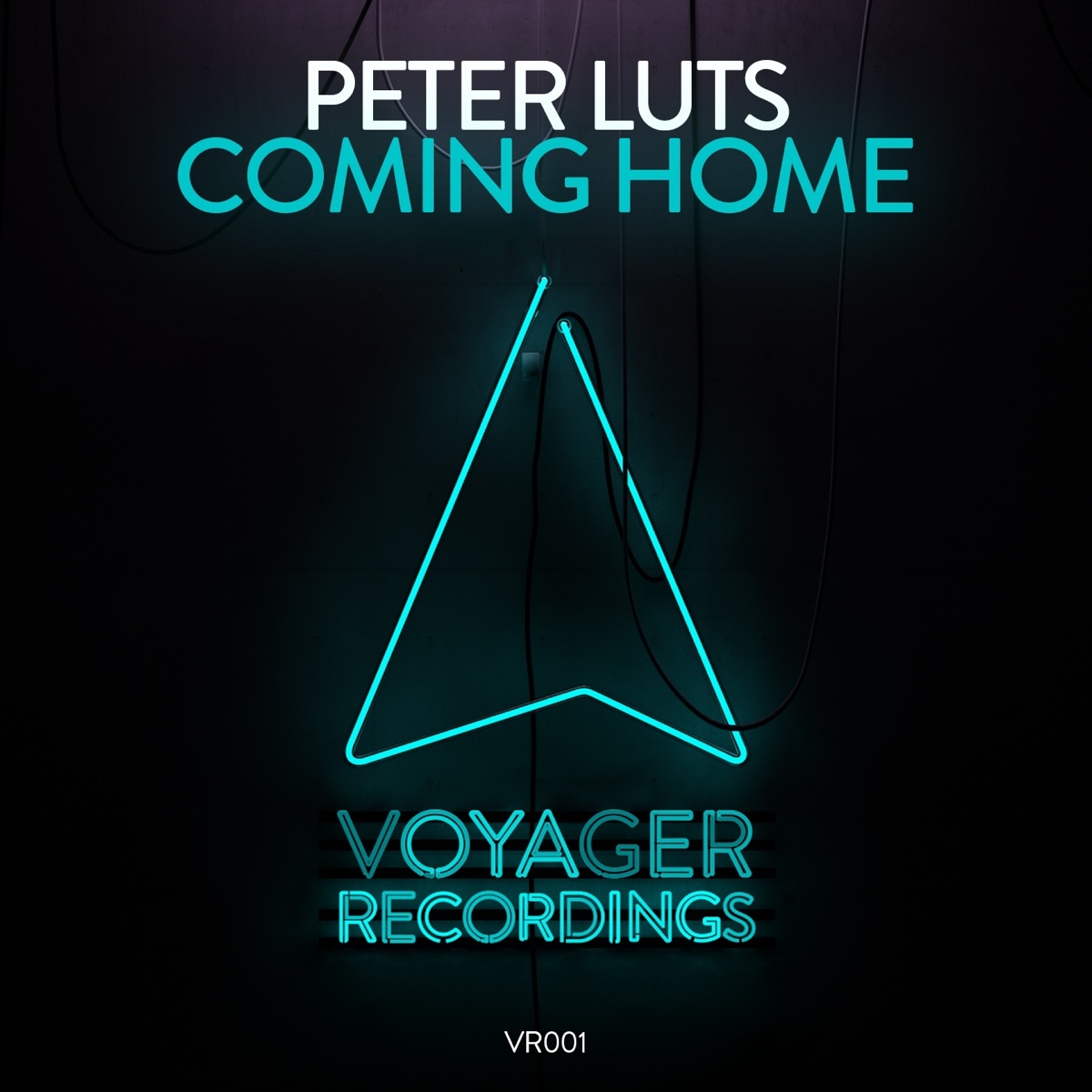 Coming Home (Extended Mix) - Single by Peter Luts album cover