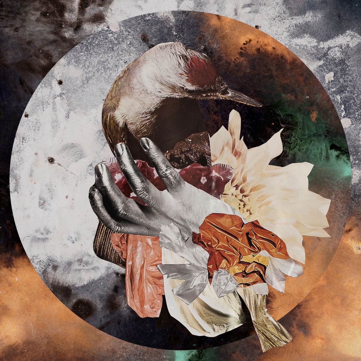 Fake - EP by Douglas Greed album cover