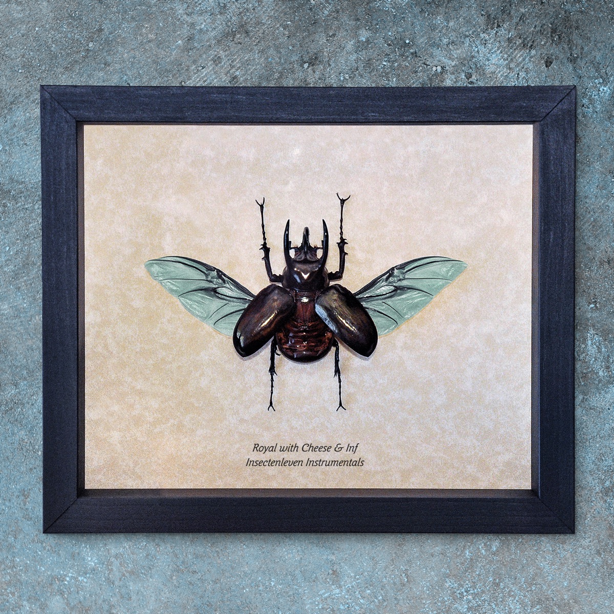 Insectenleven Instrumentals by Inf album cover