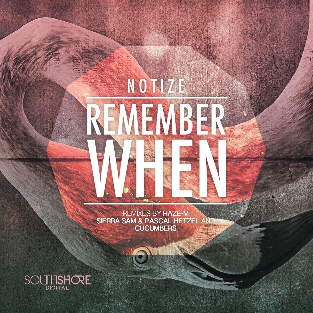 Remember When - EP by Notize album cover