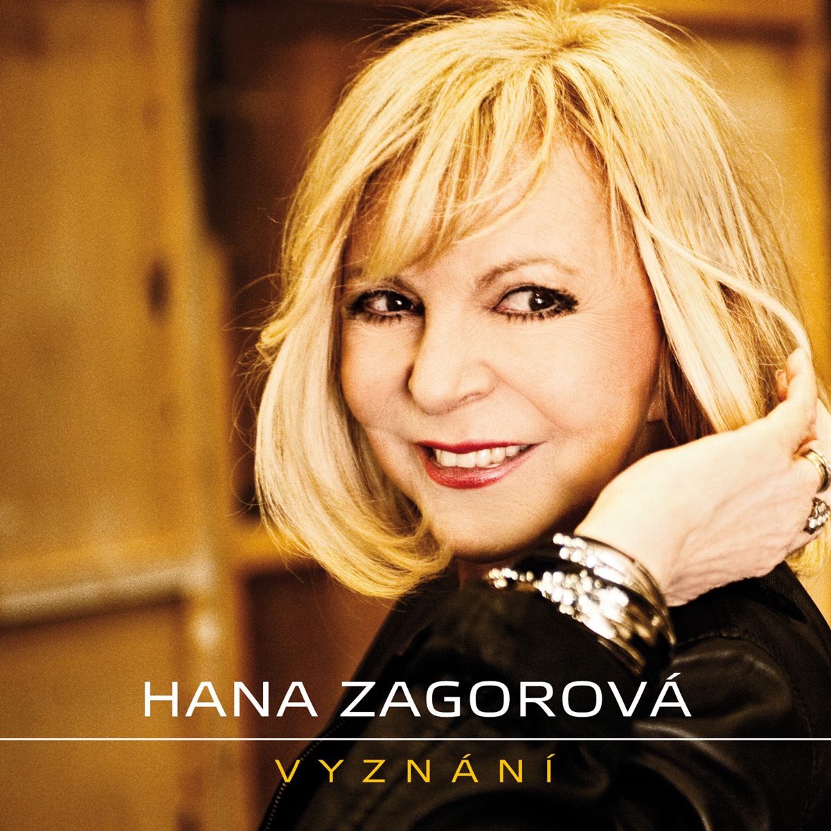 Vyznání by Hana Zagorová album cover