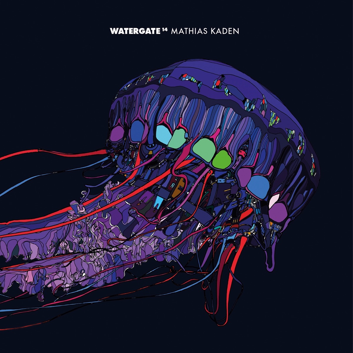Watergate 14 (Continuous DJ Mix) by Mathias Kaden album cover