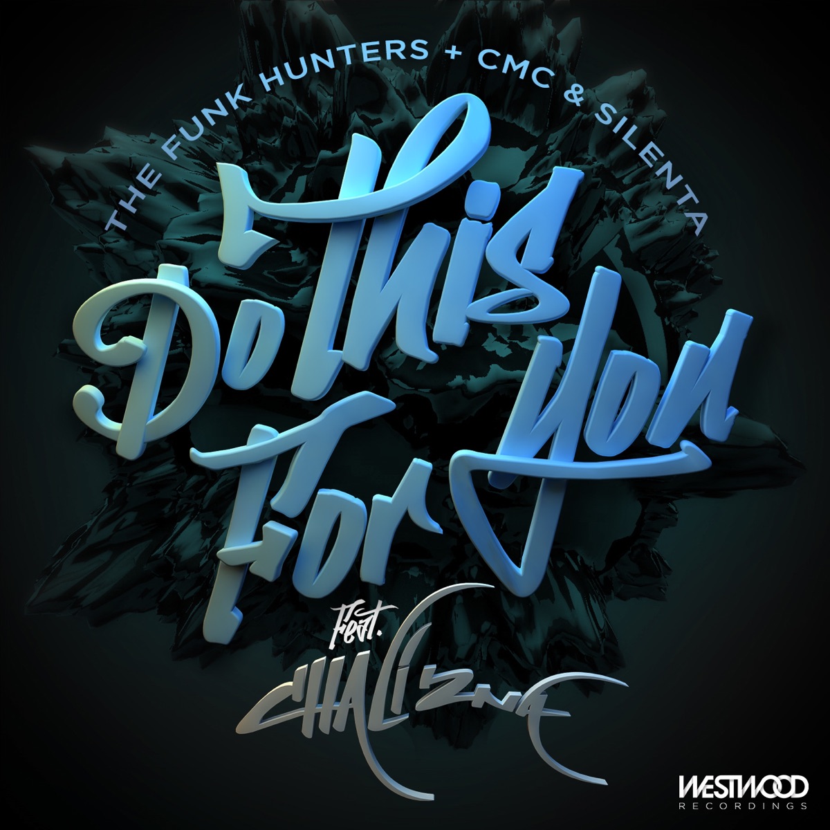 Do This For You - Single by The Funk Hunters album cover