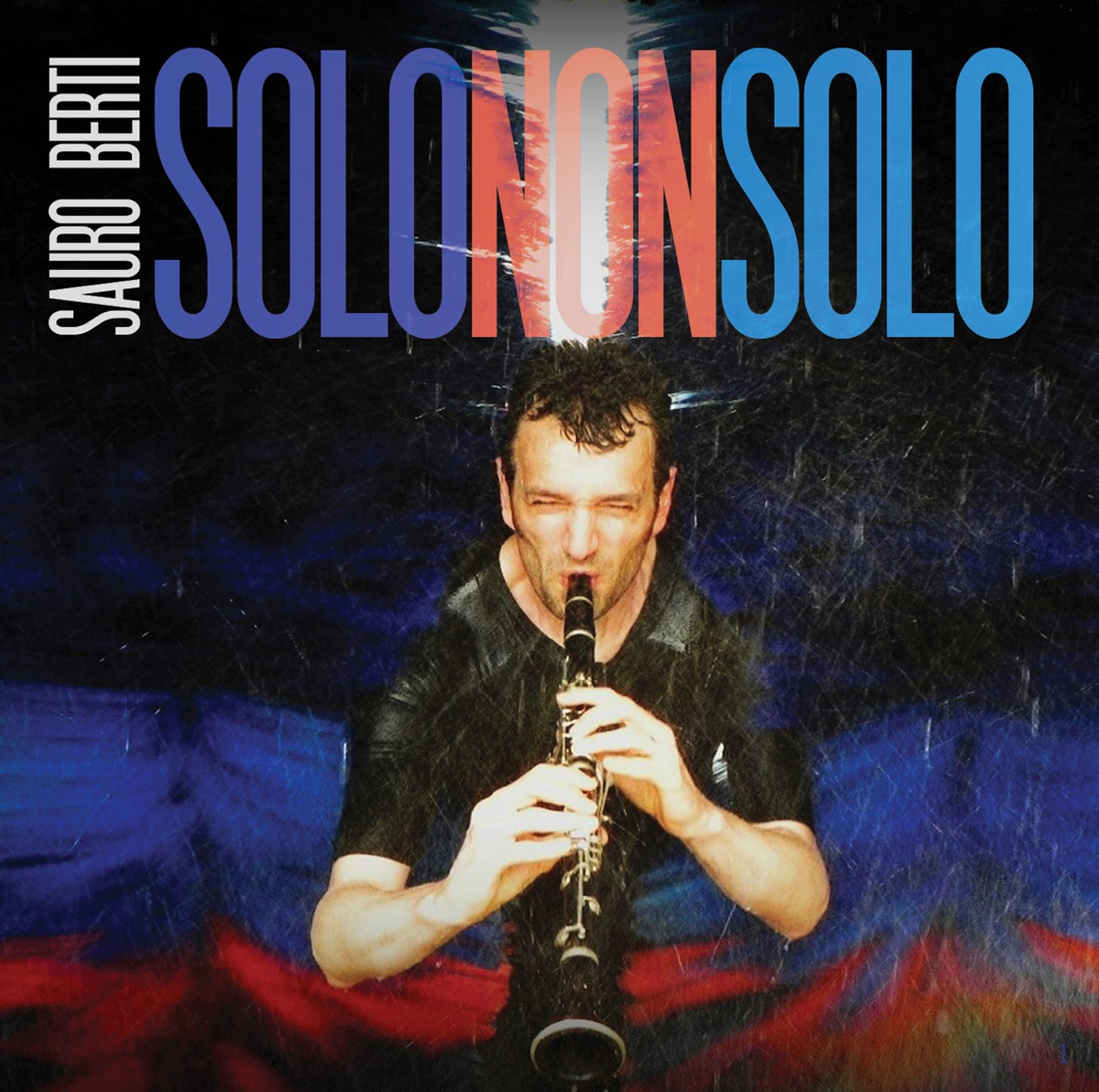 Solo Non Solo by Sauro Berti album cover