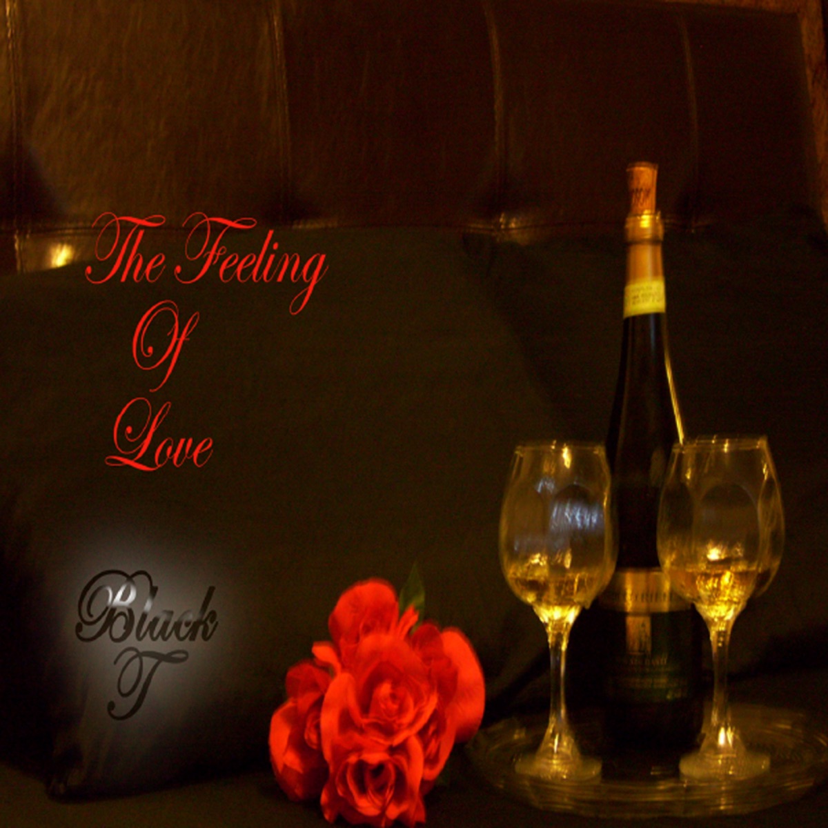 The Feeling of Love - Single by Black T album cover