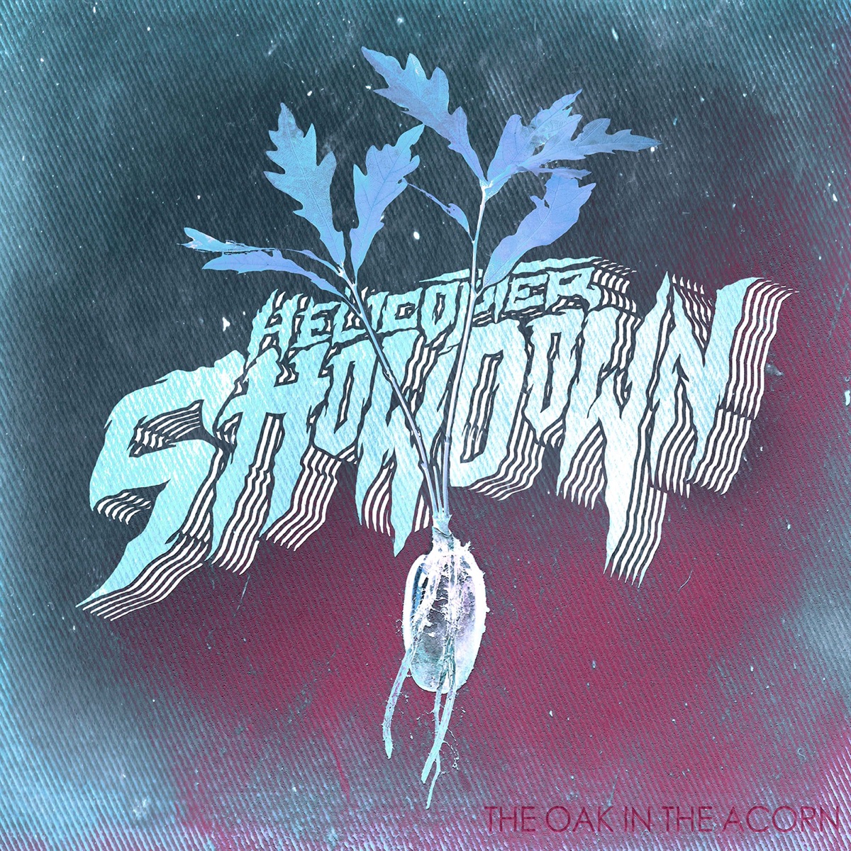 The Oak In the Acorn by Helicopter Showdown album cover