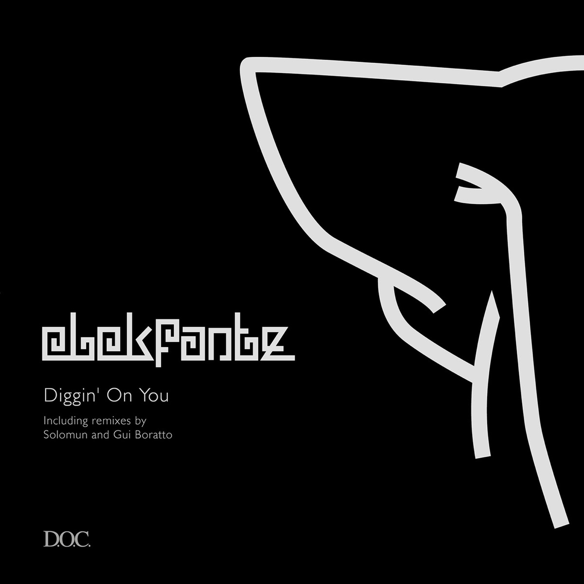 Diggin' On You - Single by Elekfantz album cover