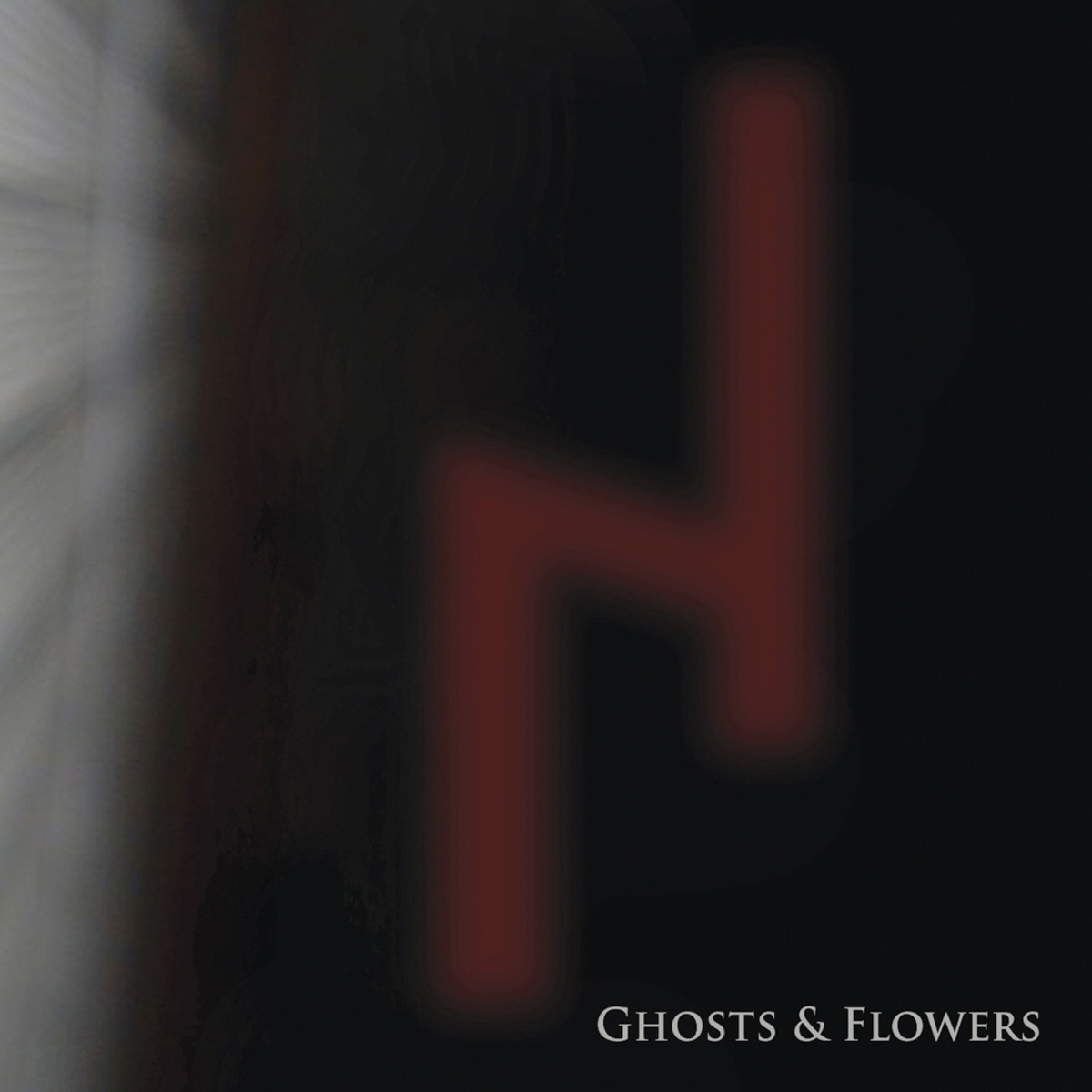 Ghosts & Flowers by Niereich album cover