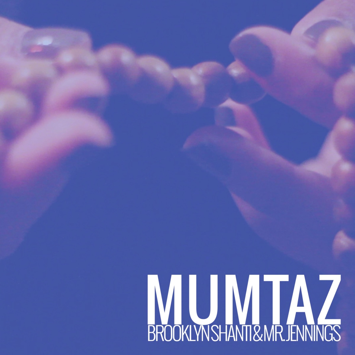Mumtaz (feat. Mr. Jennings) - Single by Brooklyn Shanti album cover