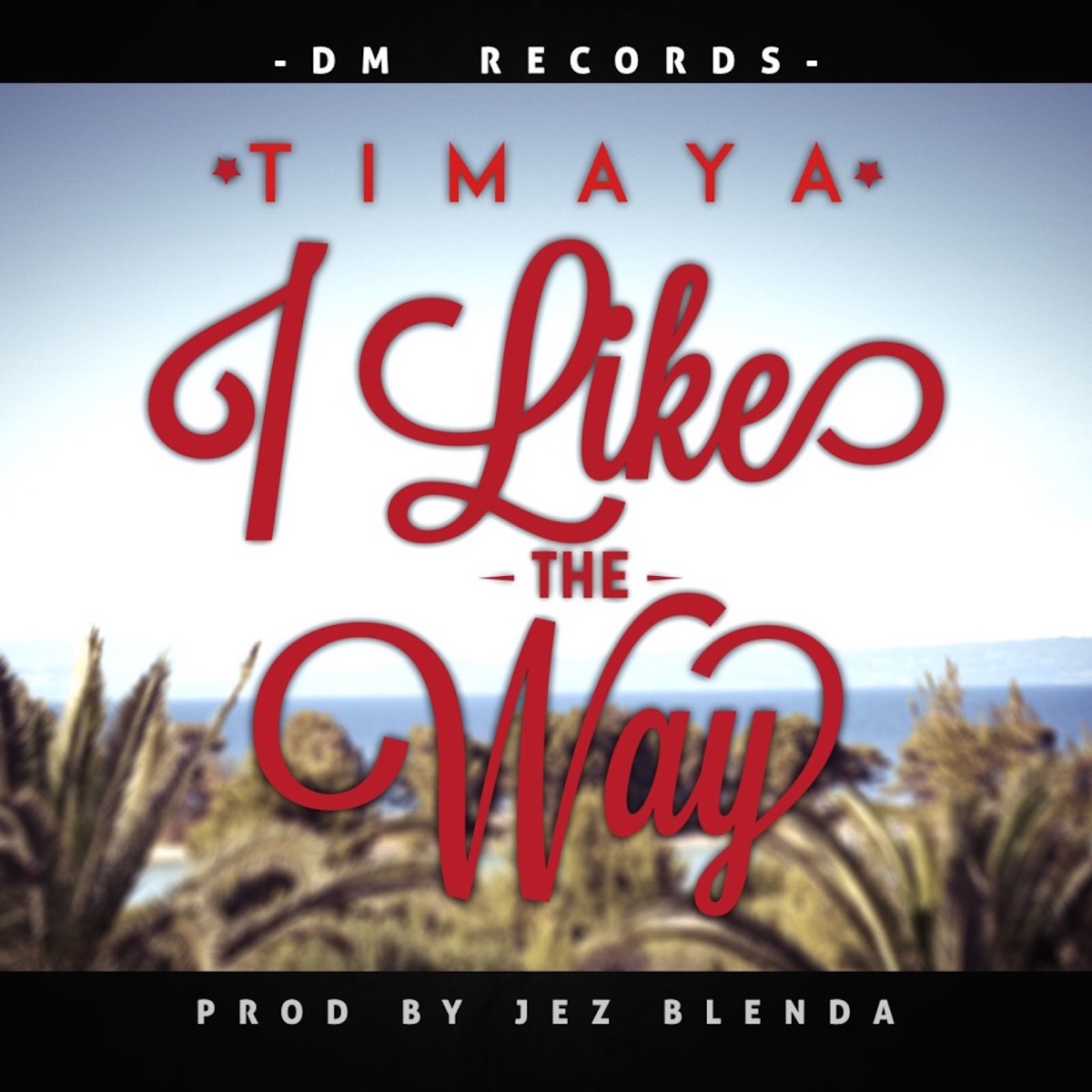 I Like the Way - Single by Timaya album cover