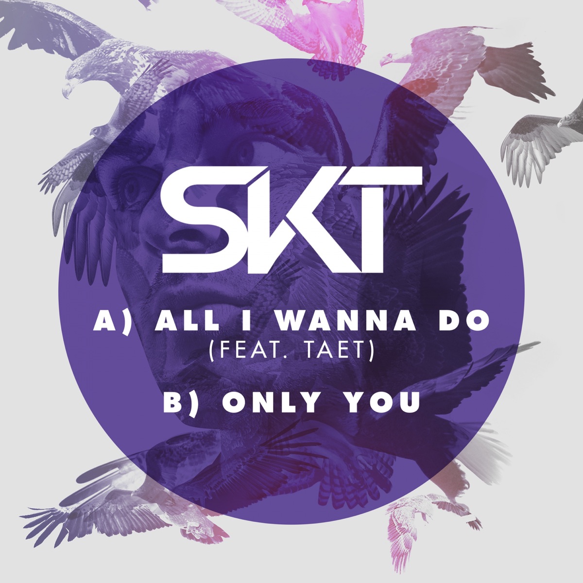All I Wanna Do - Single by DJ S.K.T album cover