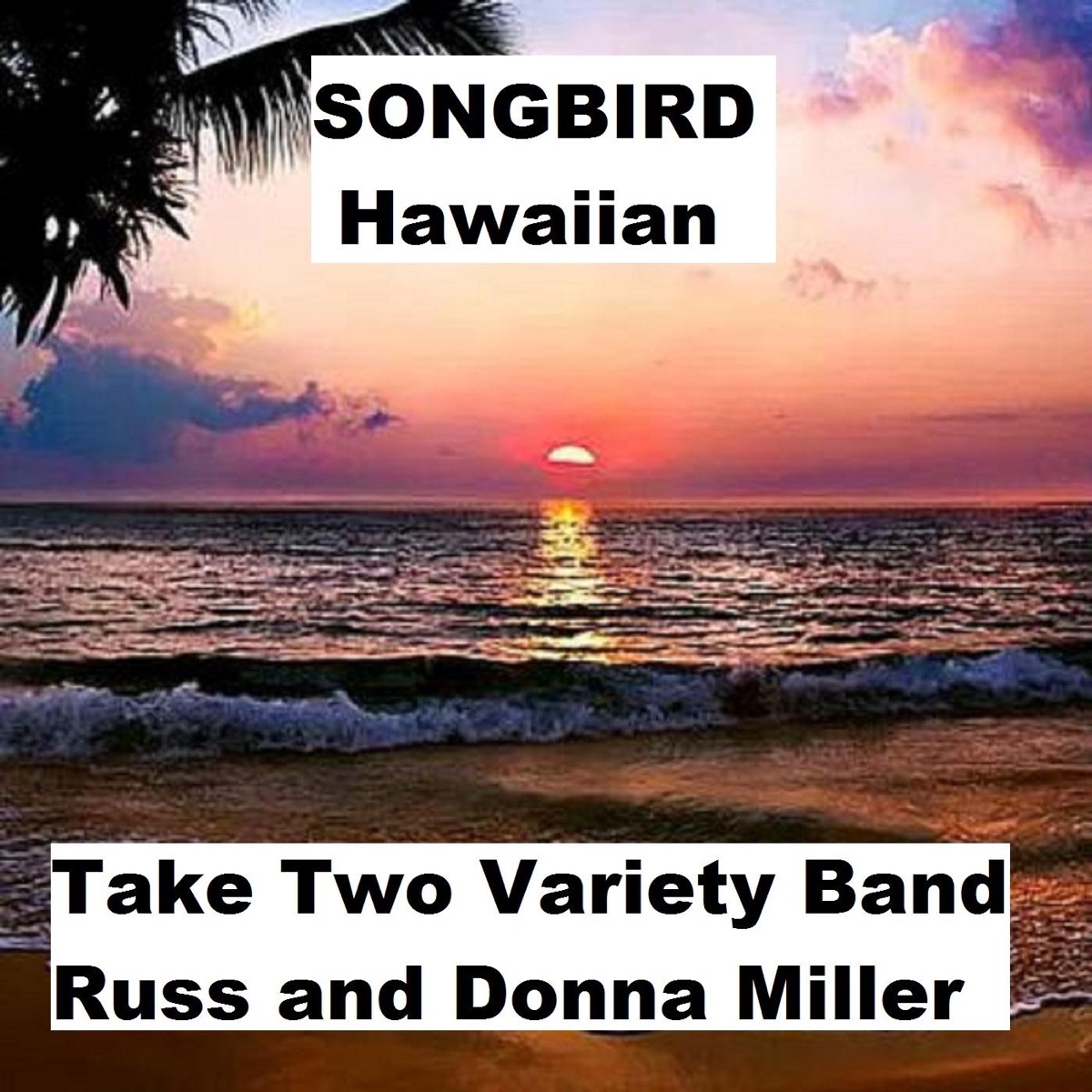 Songbird (Hawaiian) - Single by Take Two Variety Band album cover