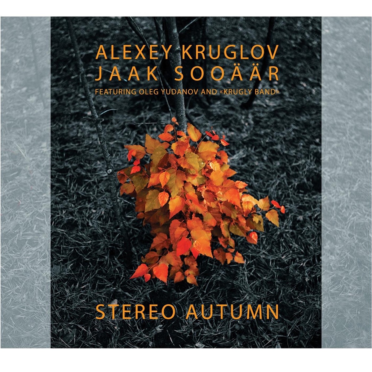 Stereo Autumn by Alexey Kruglov & Jaak Sooäär album cover