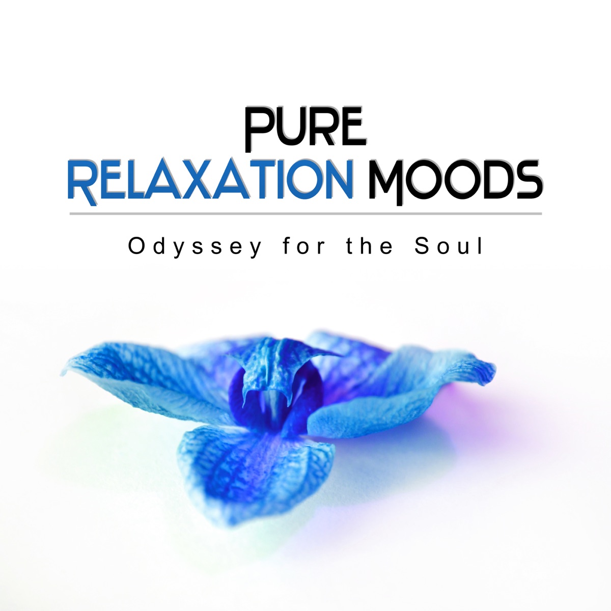 Pure Relaxation Moods: Oasis of Zen Meditation Music, Wellness Spa Lounge, Odyssey for the Soul, Healing Massage Music by Relaxing Zen Music Ensemble album cover