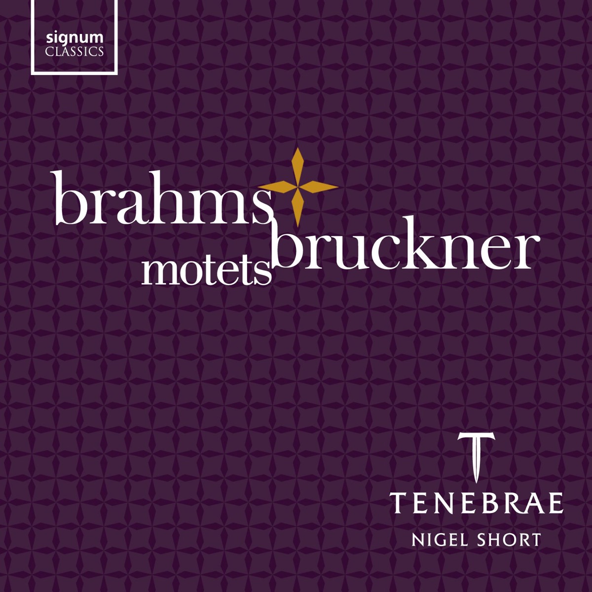 Brahms & Bruckner: Motets by Tenebrae & Nigel Short album cover