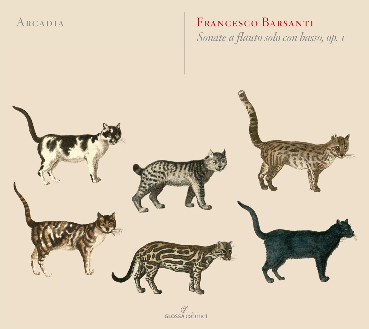Barsanti: 6 Recorder Sonatas, Op. 1 by Ensemble Arcadia album cover